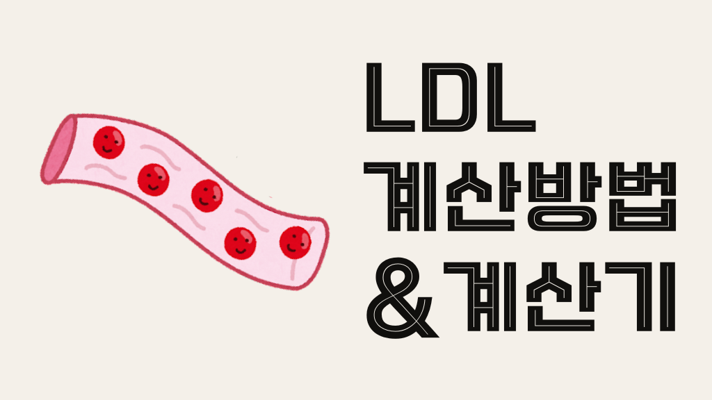 LDL 계산